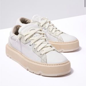 P448 Aerial Sneaker Brand New in Box